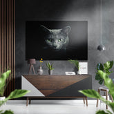 Cat in the Dark Brushed Aluminium Dibond Wall Art.